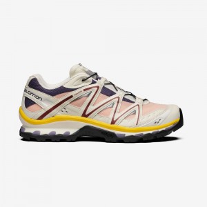 Basket Salomon XT-QUEST Homme Multicolore | DXCAR-0583