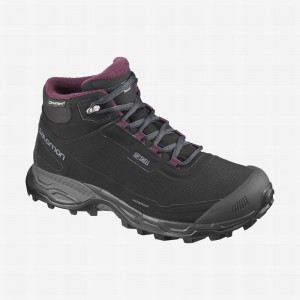 Botte Hiver Salomon SHELTER SPIKES CLIMASALOMON WATERPROOF Femme Noir | ASOMZ-9376