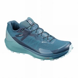 Chaussure Running Salomon SENSE RIDE 3 GTX INVIS. FIT W Femme Turquoise Bleu | KMQUI-0914