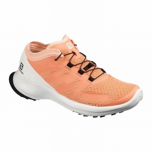 Chaussure Trail Running Salomon SENSE FLOW W Femme Blanche | XPDVZ-5234