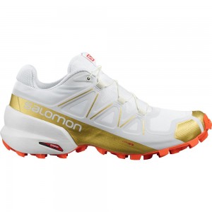 Chaussure Trail Running Salomon SPEEDCROSS 5 GTS W Femme Blanche | RDHOF-7041