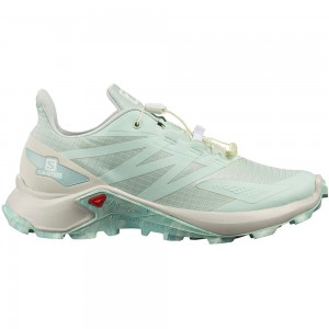 Chaussure Trail Running Salomon SUPERCROSS BLAST W Femme Bleu | WMJVX-7903