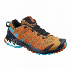 Chaussure Trail Running Salomon XA PRO 3D V8 Homme Bleu Marine Bleu | BJTNY-6280
