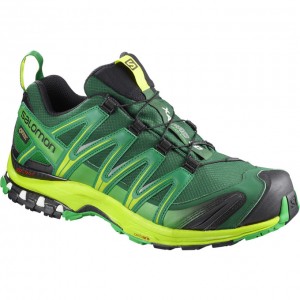 Chaussure Trail Running Salomon XA PRO 3D GTX Homme Vert Foncé | SQLJG-6358