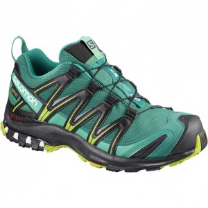 Chaussure Trail Running Salomon XA PRO 3D GTX W Femme Vert | ZBFWD-0965