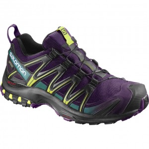 Chaussure Trail Running Salomon XA PRO 3D GTX W Femme Violette Noir | ILREF-0432