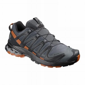 Chaussure de Randonnée Salomon XA PRO 3D V8 GORE-TEX Homme Bleu Foncé Noir | KWORA-4902