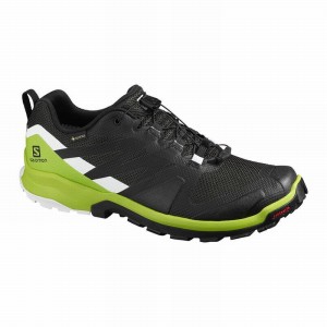 Chaussure de Randonnée Salomon XA ROGG GTX Homme Noir Vert Clair | CTKBE-5390