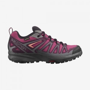 Chaussure de Randonnée Salomon X CREST GORE-TEX Femme Violette | DYLNP-7468
