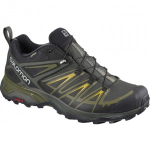 Chaussure de Randonnée Salomon X ULTRA 3 GTX Homme Noir | GHWBR-9862