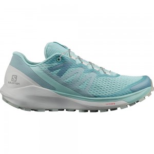 Chaussures Running Route Salomon SENSE RIDE 4 W Femme Bleu | GRJOA-2784