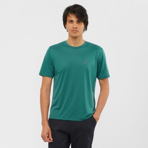 T Shirts Salomon EXPLORE M Short Sleeve Homme Vert | EOSQP-0397