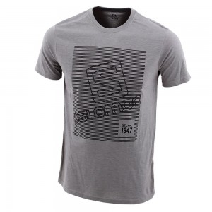 T Shirts Salomon FINELINE SS M Homme Grise | DJVES-5679