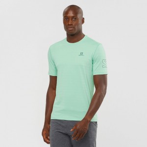 T Shirts Salomon OUTLINE New Trail Running Gear Homme Bleu | OPTJD-1694