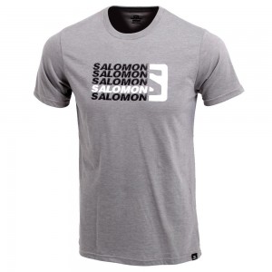 T Shirts Salomon STANDOUT SS M Homme Grise | WJEXF-2081