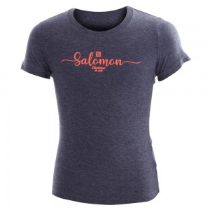 T Shirts Salomon VINTAGE SS G Enfant Grise | IWPQU-8029