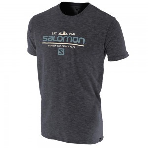 T Shirts Salomon VISIONARY SS M Homme Grise | PWMRT-7068